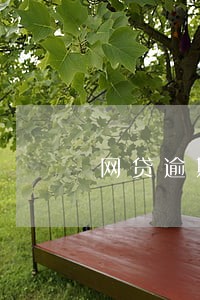 网贷逾期上征信 影响 网贷逾期上征信 影响